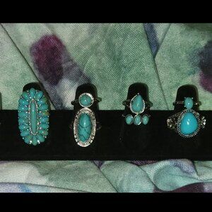 Western Turquoise Ring Set of 10